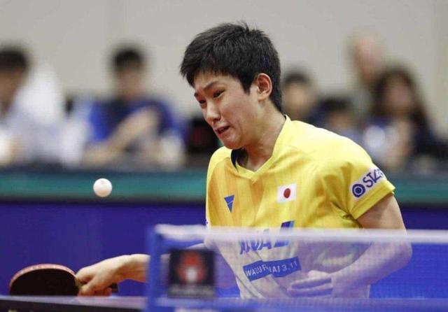 肖爱华不仅 肖爱华不仅