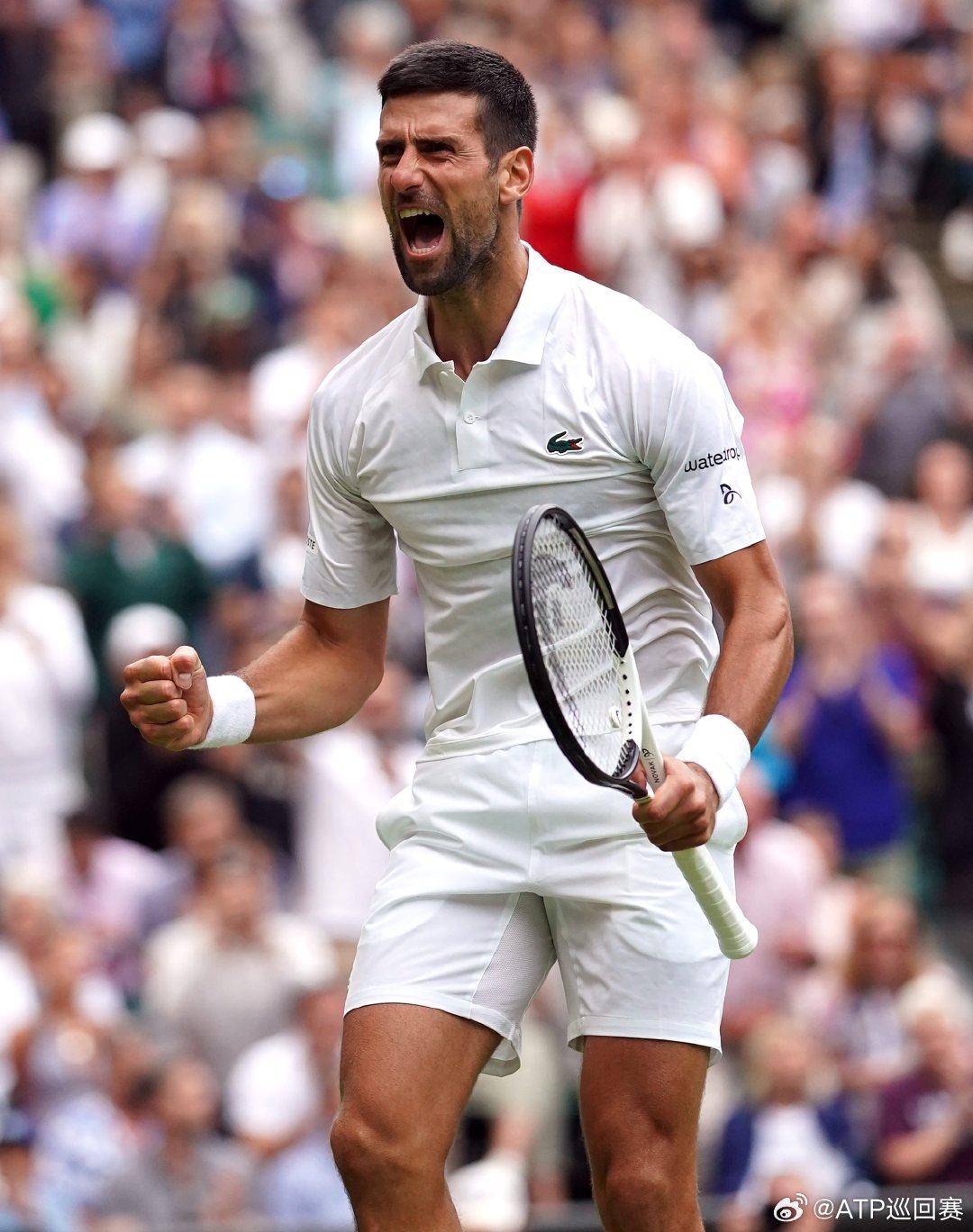 以主赛道 以主赛道